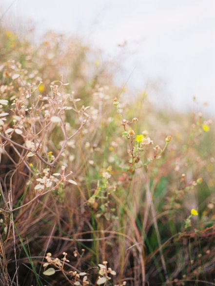 View More: http://hollyvonlanken.pass.us/st-augustine-2015